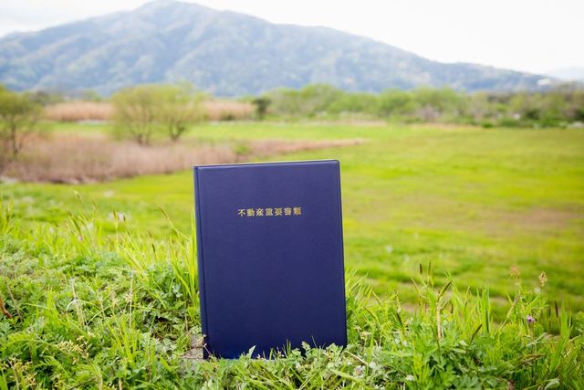 山